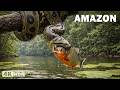WILD AMAZON When The Predator Becomes The Prey Nature Animal Documentary