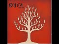 Gojira - Over the flows