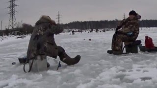 Ссылка