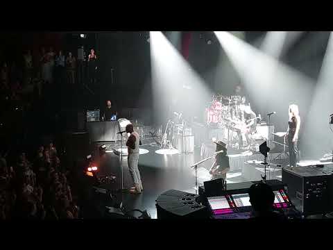 Seal Brussels Cirque Royal