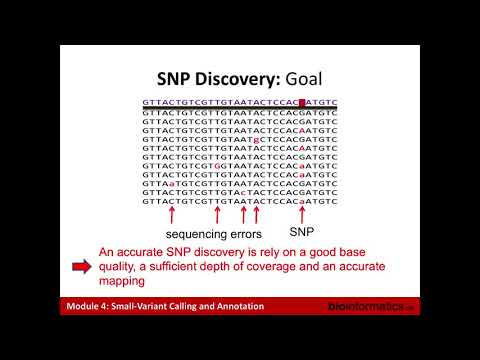 Small-Variant Calling and Annotation