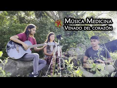 Venado del corazón - Canto medicinal