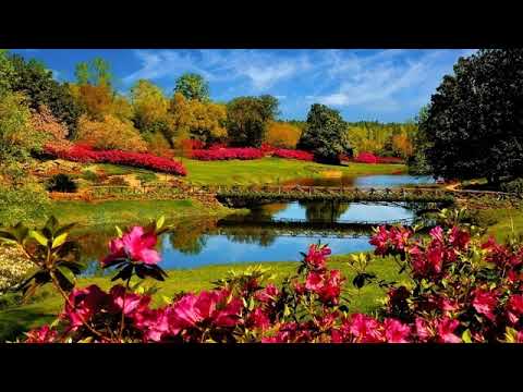 O scumpa zi # Emil Cuc