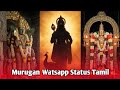 Murugan Whatsapp Status In Tamil Murugan Songs Whatsapp Status Tamil Murugan Status Full Screen