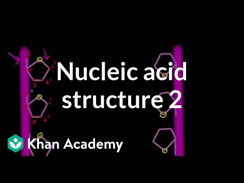 Nucleic acid structure 2