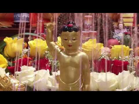 download lagu mp3 mp4 Fo Shou, download lagu Fo Shou gratis, unduh video klip Fo Shou