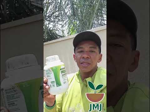 Manutenção de jardim no condomínio caribe em Palmas Tocantins 