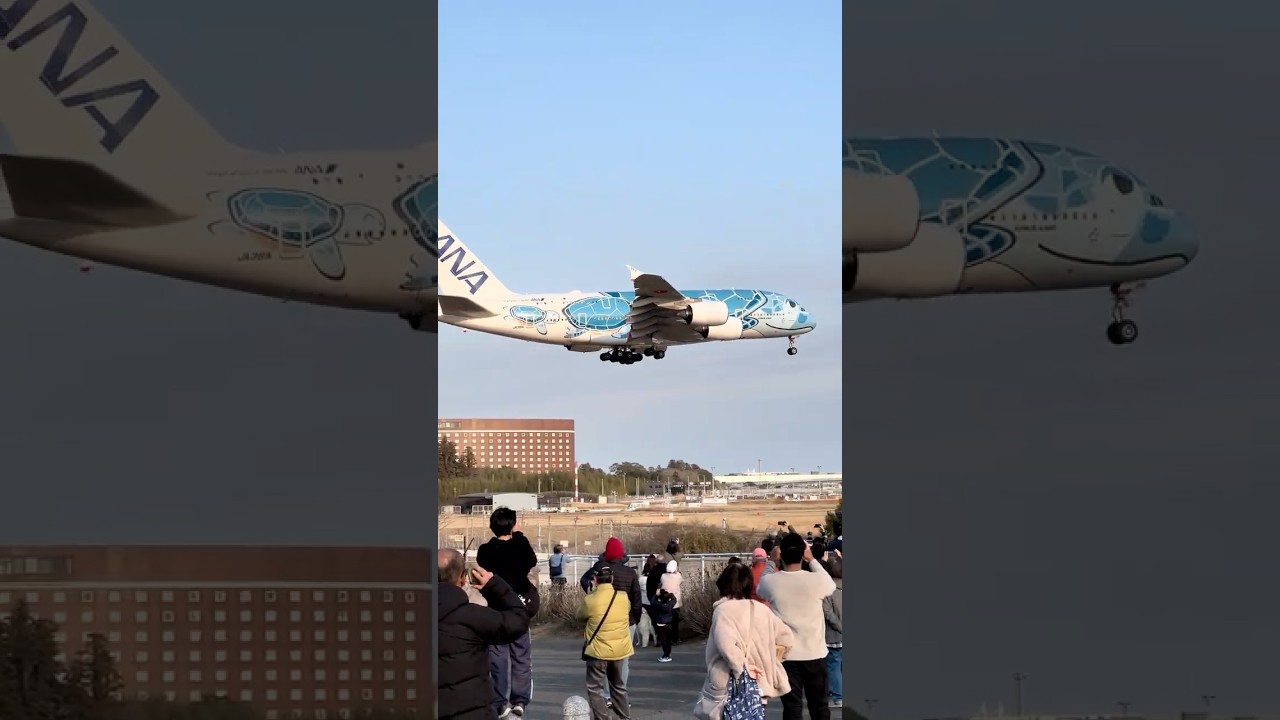 フライングホヌのラニちゃんなANAのA380 / ANA183 JA381A RJAA 16R 1530 260118