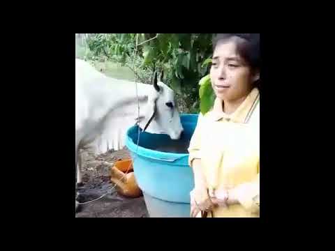 EMPRENDIMIENTO YULITZA CÁRDENAS