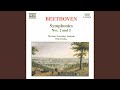 Symphony No. 2 in D Major, Op. 36: IV. Allegro molto