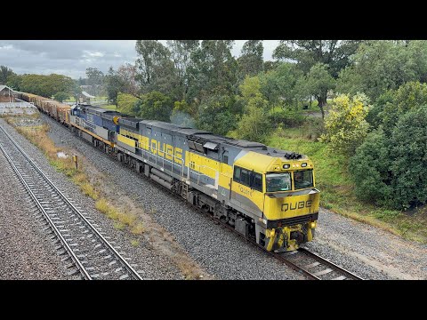 Qube’s QL016 & CF4421 with 2BW7 at East Maitland - 1/7/25
