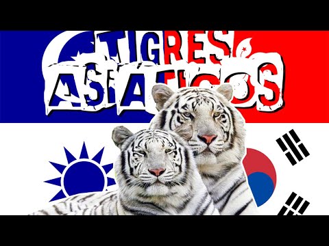 NOVA ORDEM MUNDIAL: OS TIGRES ASIÁTICOS E OS NOVOS TRIGRES