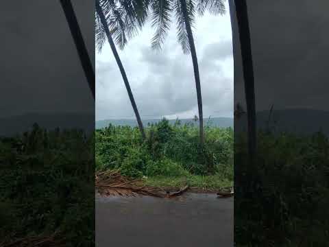 🌪️#naturesounds #nature #shorts #yt #naturetrailswithjameer