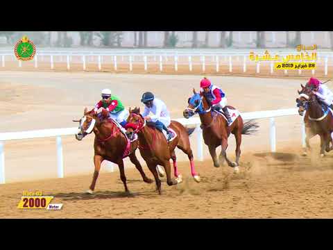 الشوط الثالث - السباق الخامس عشر- الرحبة 28/02/2019 Race 3-15th meeting