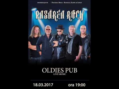 Pasarea Rock reviziteaza Sibiul - Interviu Baniciu Mircea