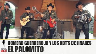 HOMERO GUERRERO JR Y LOS KDT&#39;S DE LINARES - EL PALOMITO [TERCIAS VOL 2] Morena Music