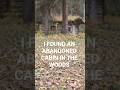 I was hunting and stumbled across this amazing old trappers cabin in the woods. built in the 1960s