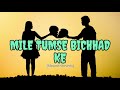 Mile Tumse Bichhad Ke Hum Slowed Reverb Lo Fi Song Lofisong