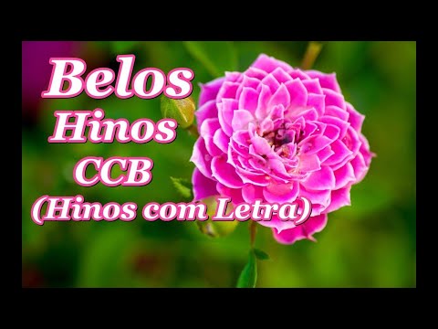 Lindos Hinos CCB (Com Letra) Cantados Hinário 5, Hinos CCB
