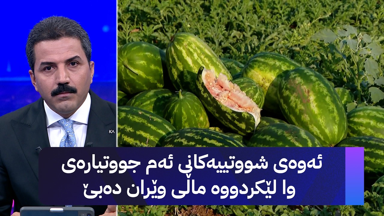 ڤیدیۆ | ئەوەی شووتییەکانی ئەم جووتیارەی وا لێکردووە ماڵی وێران دەبێ