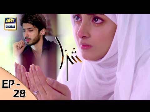 Shiza Ep 28 - 14th October 2017 - ARY Digital Drama