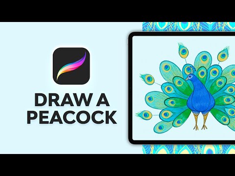 How to Draw in Procreate Beginners Guide