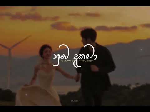 Numba daka ma | නුඹ දැක මා (Slowed + Reverb) @SaJJaA
