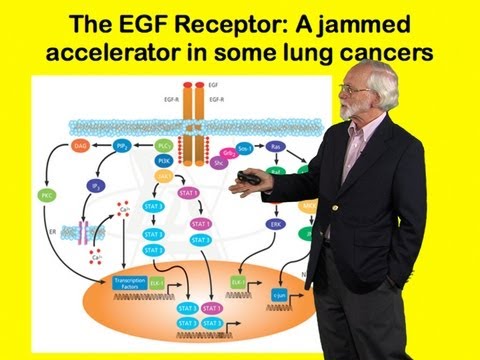 J. Michael Bishop (UCSF) Part 2: The cancer genome: Challenge and promise
