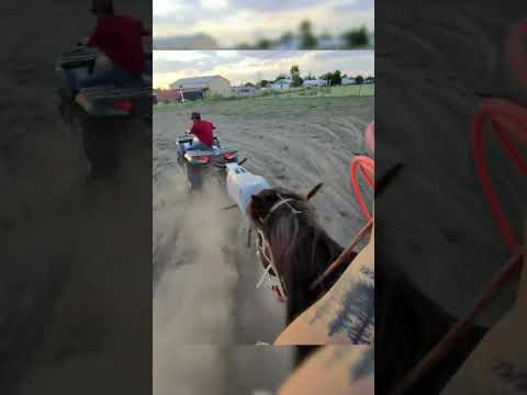 Ok, imagine they think you are a bull and roped you 😂 (via alfredofredyoliva)