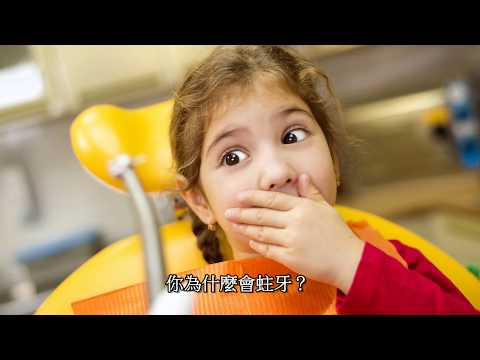 - YouTube