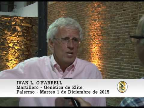 01-12-15 Nota Ivan L. O`Farrell - Genetica de Elite - Palermo - Buenos Aires