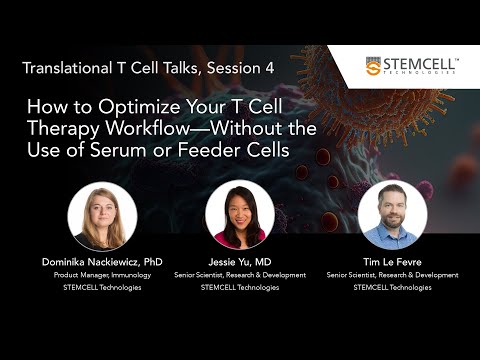 How to Optimize Your T Cell Therapy Workflow—Without the Use of Serum or Feeder Cells