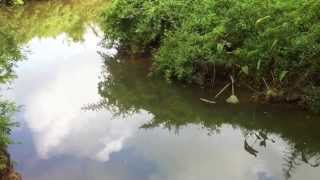 Download lagu Memancing Haruan di Sungai mp3 Download lagu Memancing Haruan di Sungai mp3