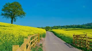 Brenda Holloway -- Land of make believe