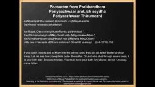 preview picture of video '002. Periyaazhwaar Thirumozhi 02/10 (153)'