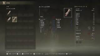 エルデンリング　初見配信　part.2