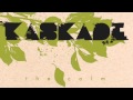 Kaskade - Heart Attack 