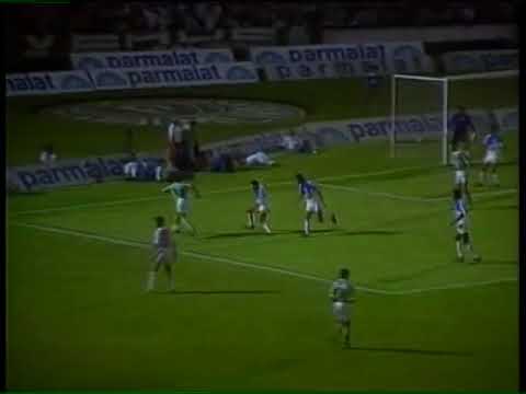 Palmeiras 2x1 Marilia - Campeonato Paulista 1993