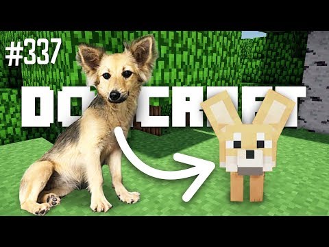Hola, Chica! | Dogcraft (Ep.337)