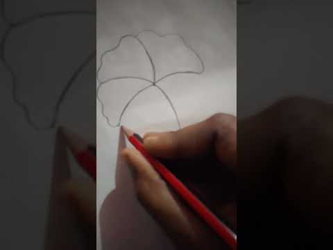 vanshu artist drawing  #art ####@