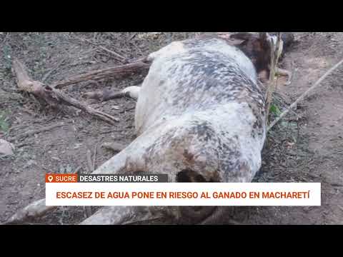 LA SEQUÍA GOLPEA A MUNICIPIOS DE CHUQUISACA