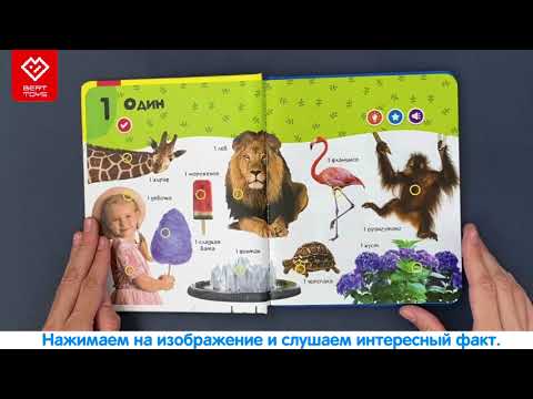 Миниатюра изображения товара Музыкальная книга BertToys Нажималка Цифры / FD146