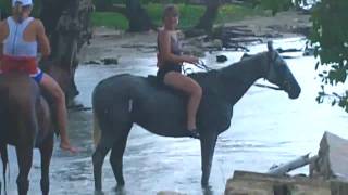 preview picture of video 'Chukka Horse Swim - Montego Bay, Jamacia - July 28, 2010 - Video #1'