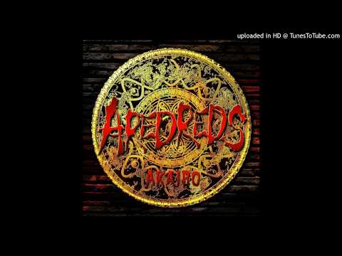 AREDREDS 1st.Album AKAIRO (XFD)
