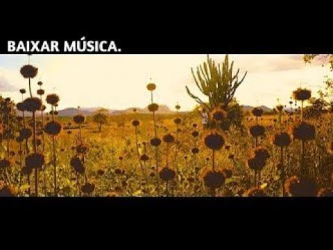 BAIXAR MÚSICA NAV | Jovem Dex