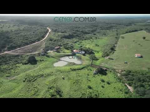 Cener Imóves 3017 P Fazenda Floresta Encatada 4 504 ha 35 milhões financia 15 anos ótimas condições