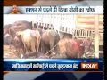 Hours after Yogi Adityanath taking over, 2 slaughterhouses sealed in Allahabad
