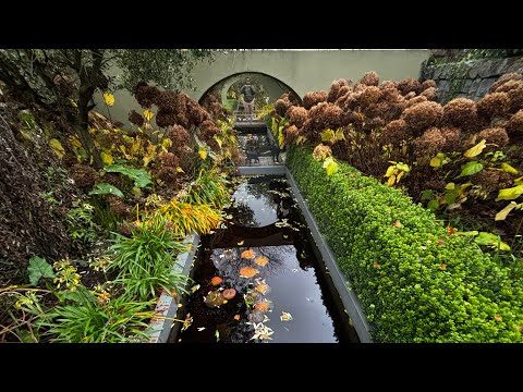 Delta Gardens Park
