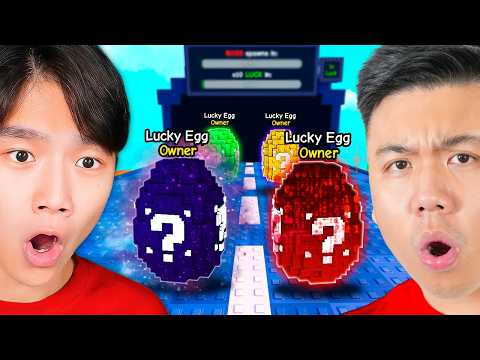 Owner LUCKY EGGS Race Vs Vindooly