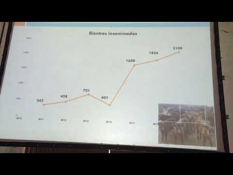 JORNADA GANADERA BOLIVAR - JUAN DEBERNARDI S.R.L. & SAN RAFAEL 8 DE 12